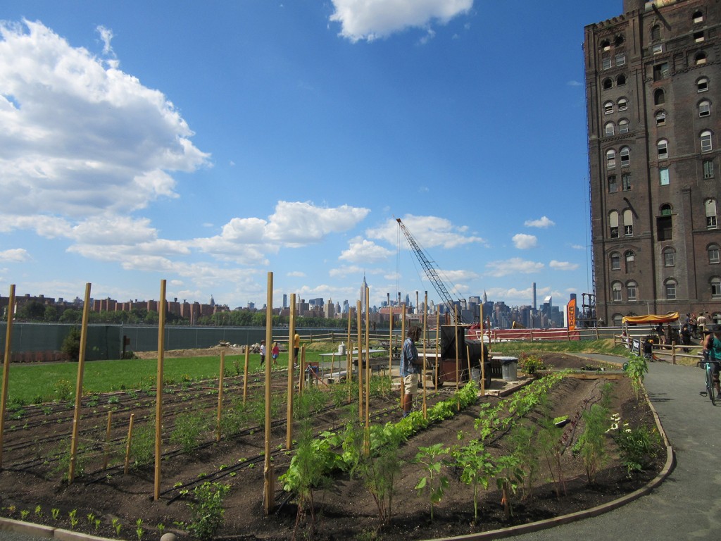North-Farm-Brooklyn