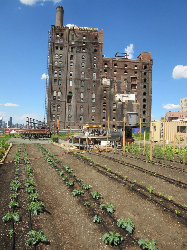 North-Farm-Brooklyn2