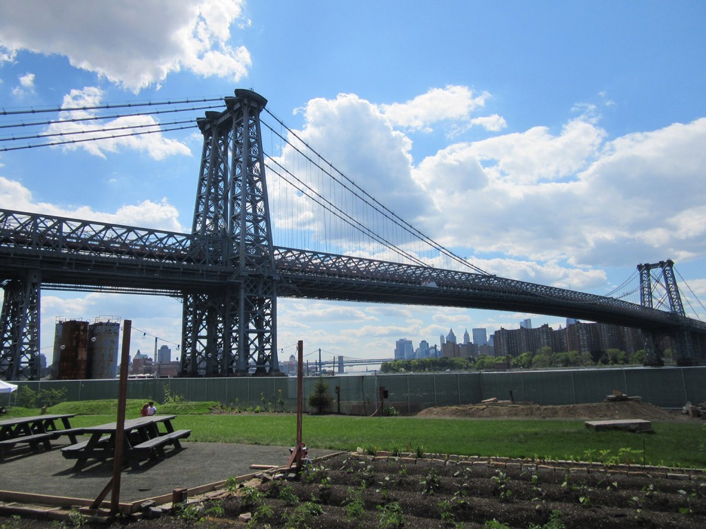 North-Farm-Brooklyn6