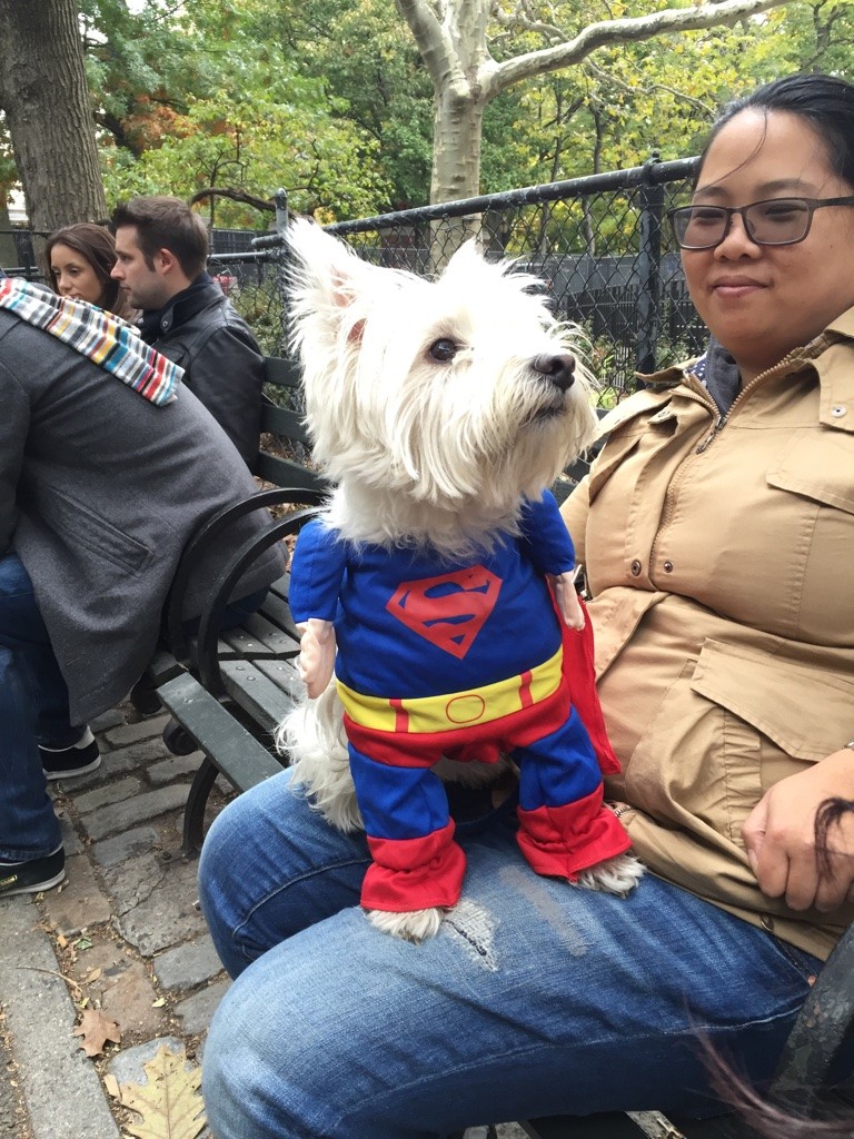 Halloween dog parade10