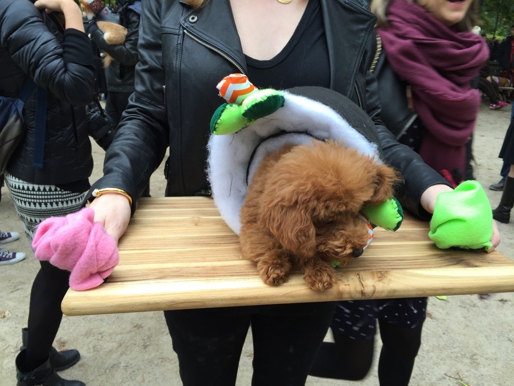 Halloween dog parade15