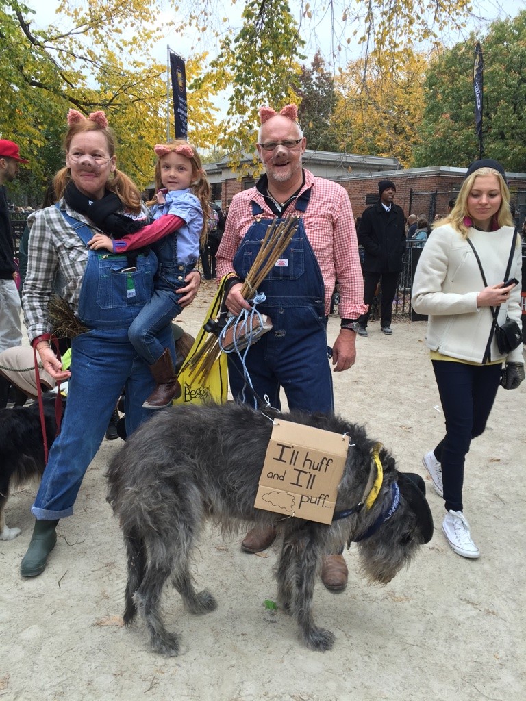 Halloween dog parade17
