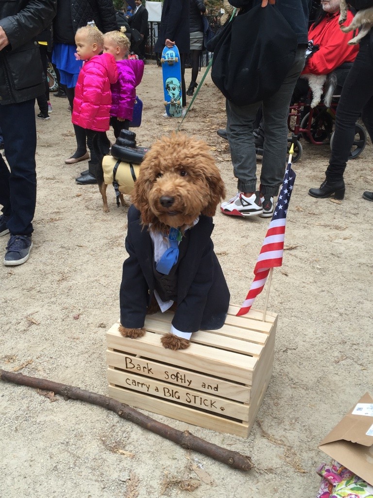 Halloween dog parade19