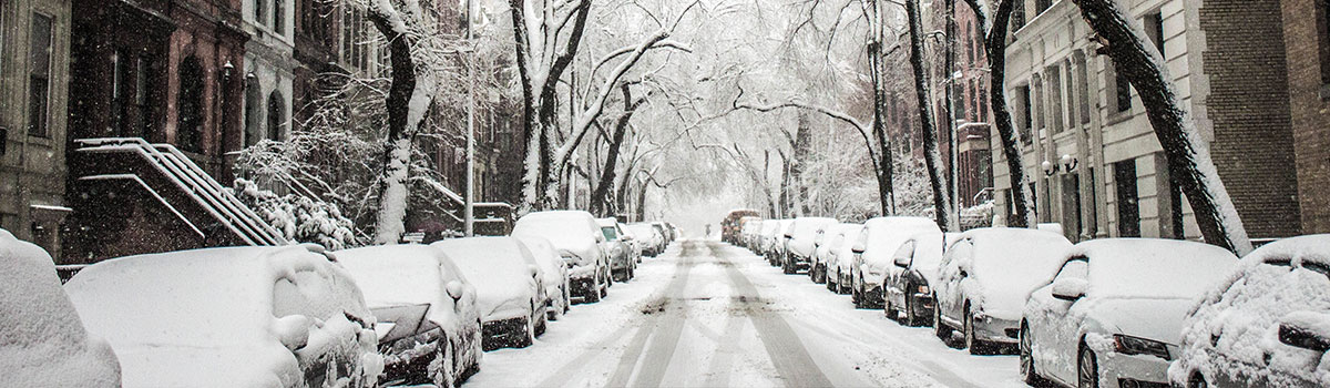 New York Par Saisons