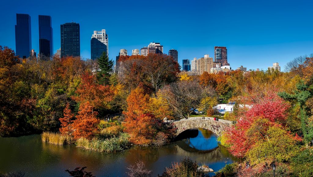 Que faire à New York en novembre 2017, le blog de New York Off Road