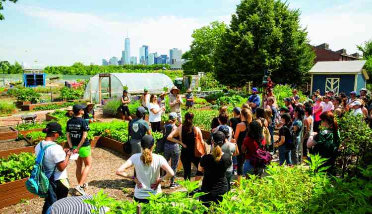 Governors Island, une île pleine de surprises à New York - Le blog New York Off Road