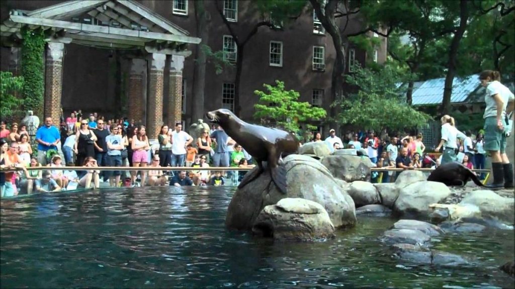 central park zoo animaux visiter new york en famille enfants que faire a central park visiter central park ou manger a central park velo barque zoo musee visiter new york en francais visiter new york en famille blog bonnes adresses newyorkoffroad