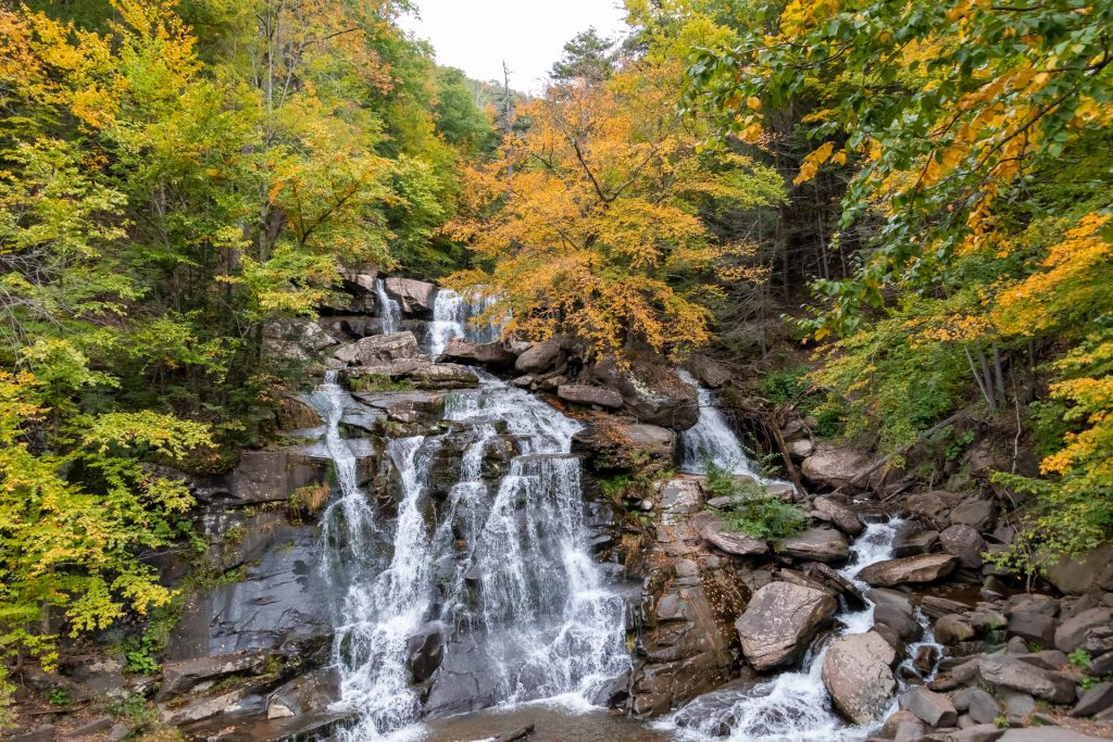 que faire a new york et alentours cet été catskills visite guidée en francais guide francais visiter new york que faire a new york pendant le COVID 19 coronavirus que faire à new york pendant le coronavirus COVID 19 activités a new york adresses bons plans blog new york off road