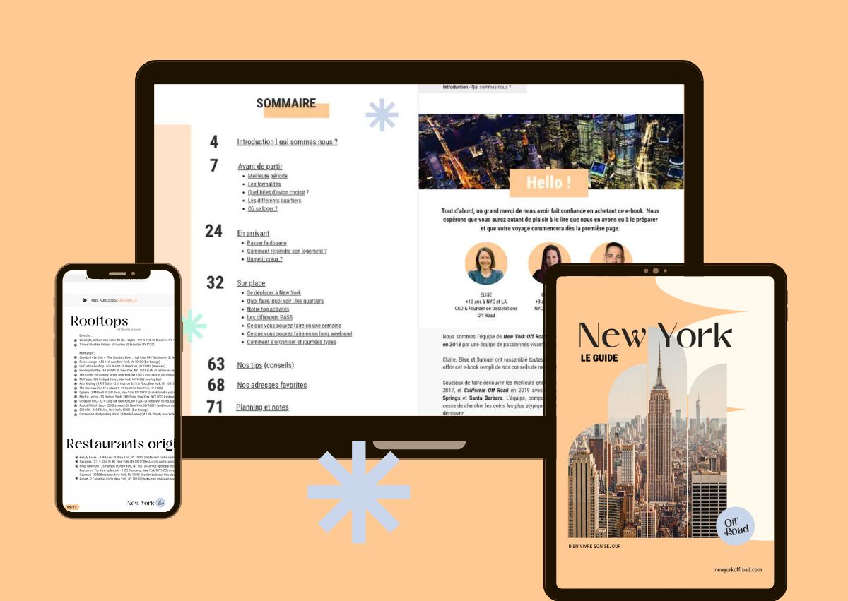 guide de new york en francais