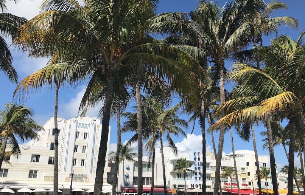 Miami Off Road visites guidées de Miami en français
