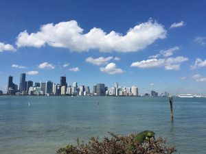 Miami Off Road visites guidées de Miami en français