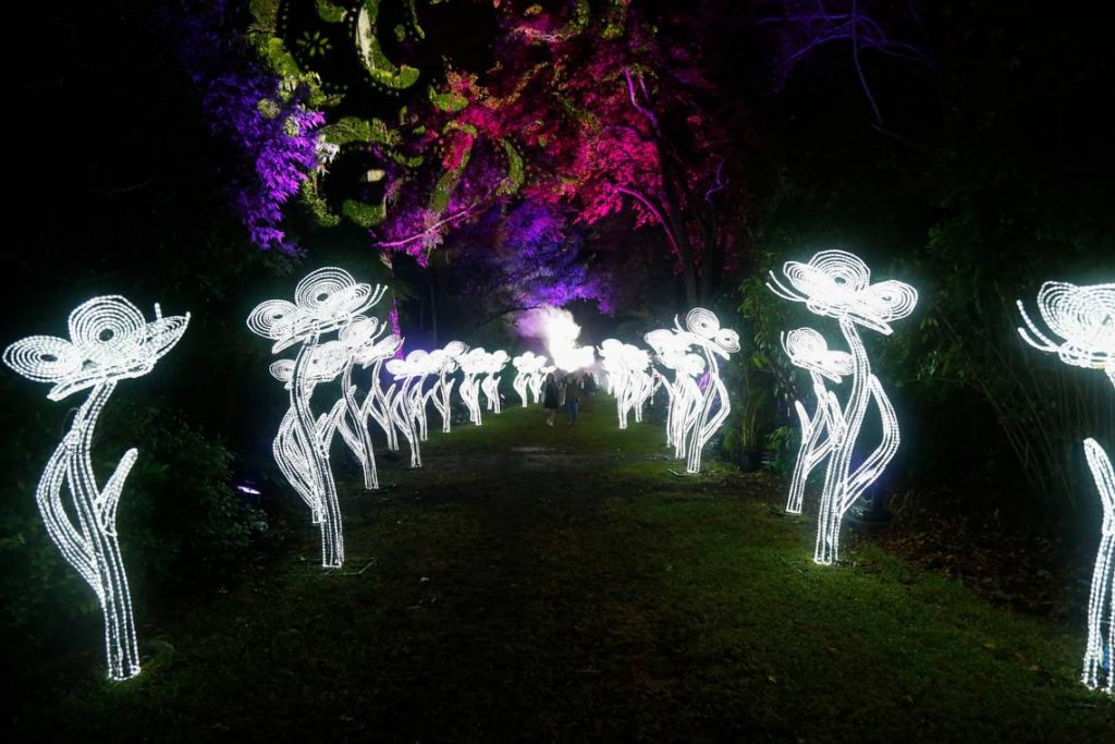 night garden que faire en décembre a miami 