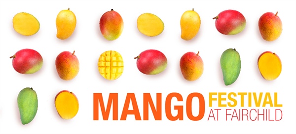 été mango festival festival international de la mangue jardin botanique fairchild à miami que faire en juillet aout à Miami visiter miami en été visiter la floride en été visiter miami en francais floride en francais blog miami off road