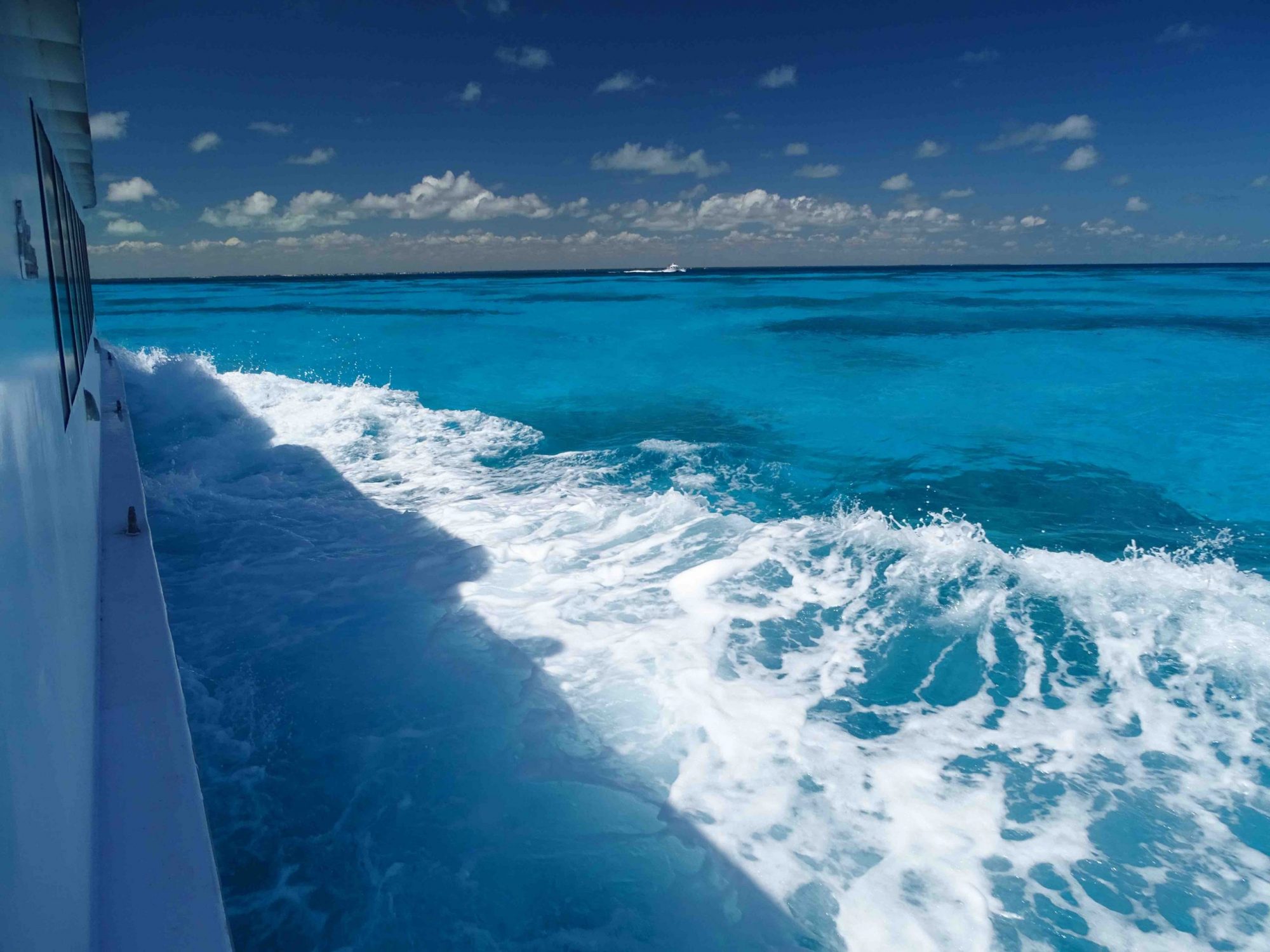 que faire en floride cet été key largo barrière de corail keys bateau à fond de verre plongée visite guidée en francais guide francais visiter miami road trip en floride que faire en floride pendant le COVID 19 coronavirus que faire à miami pendant le coronavirus COVID 19 activités en floride adresses bons plans blog miami off road