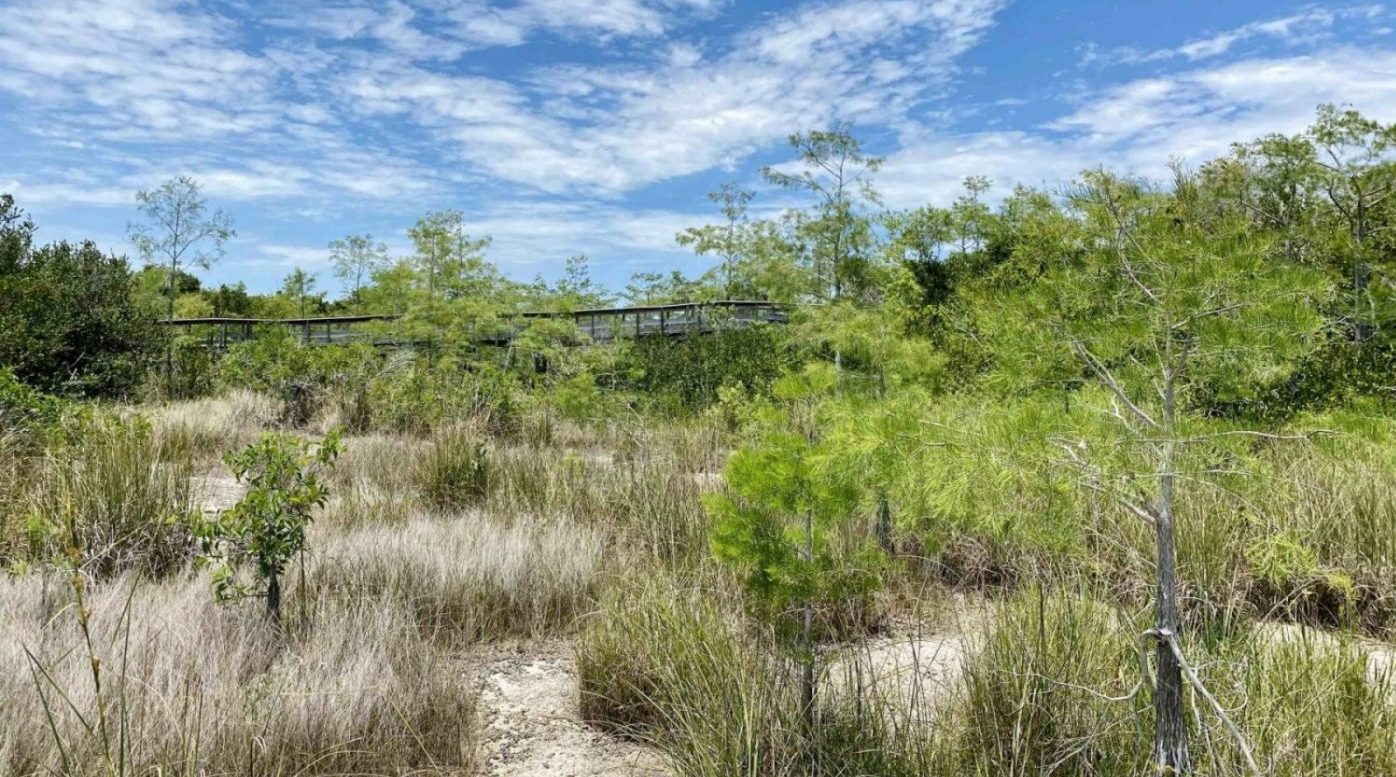 les Everglades pendant la saison sèche