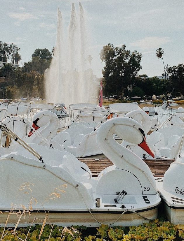 pedalo en forme de cygne dans un lac avec fontaine