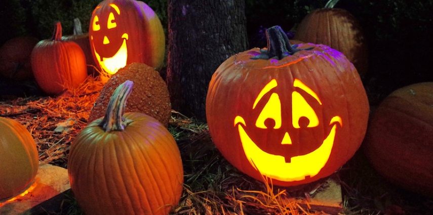 C'est bientôt Halloween ! Décorations, meilleurs quartiers pour les bonbons, vous saurez tout grâce aux guides de Californie Off Road.