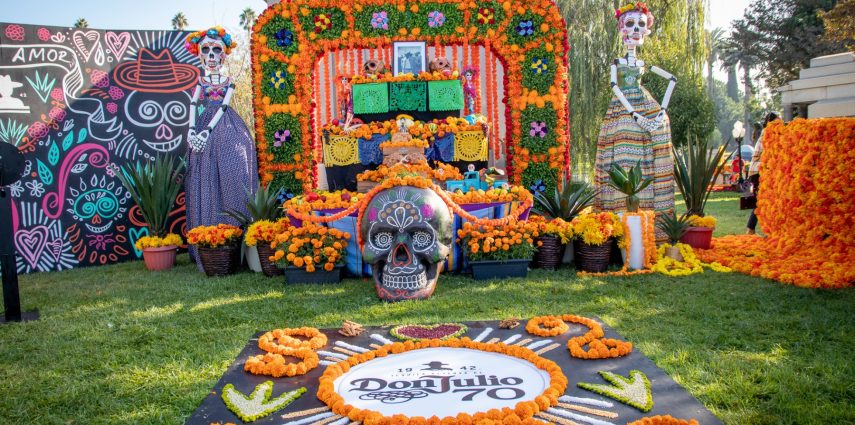 Découvrez que faire à la Toussaint à Los Angeles : des idées d'activités incontournables pour profiter de cette période unique dans la ville des anges. Explorez, célébrez et amusez-vous !
