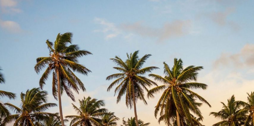 Miami en Octobre c'est toujours plus de festivals, de la musique, du sport et des fruits de mer ! Suivez-nous pour les bons plans sorties !