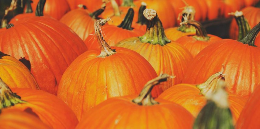 C'est bientôt Halloween !  Voici notre sélection des évènements incontournables pour se faire peur entre amis, ou en famille en ce mois d'octobre !