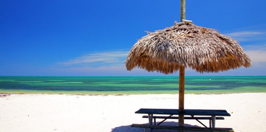 On le sait bien, vous venez à Miami profitez du soleil, et le mieux pour cela, c'est la plage ! Mais laquelle ? Petit tour d'horizon de nos préférées.