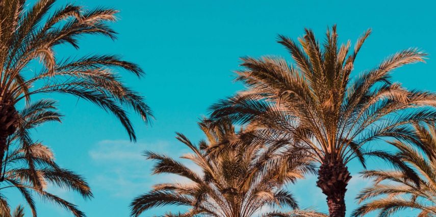 C'est le Printemps ! Et aussi la meilleure période pour profiter de Miami. Alors choisissez parmi les meilleurs évènements du mois d'avril pour fêter ça !