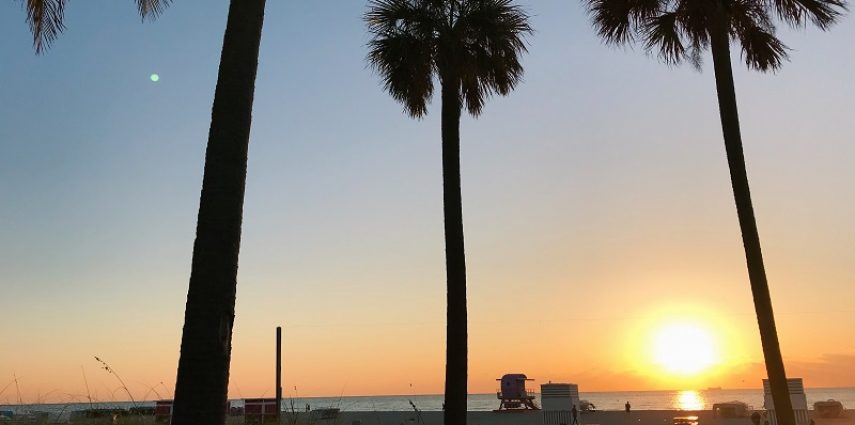 Le mois de mai est toujours synonyme de l'arrivée des beaux jours, mais que vous réserve Miami, ville dans laquelle il faut beau toute l'année ? On vous dit tout !