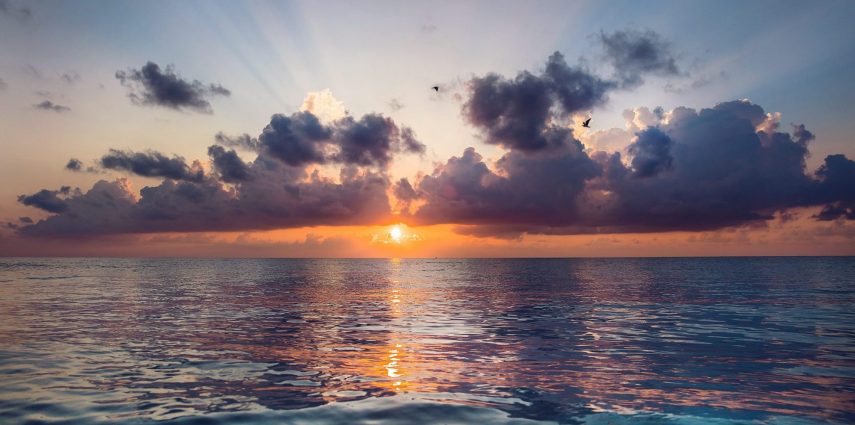 Parce qu'après une bonne journée de visites guidées en français avec nous, vous avez tous envie de terminer en beauté, voilà nos adresses préférées pour un sunset mémorable !
