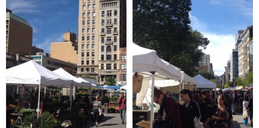 Depuis 35 ans, plus de 140 exposants : agriculteurs, pêcheurs et boulangers de l'état vendent leurs produits en plein cœur de Manhattan.

Garanti produits locaux, c'est délicieux et  les prix sont abordables ! 