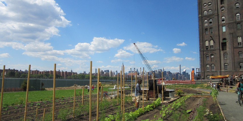 Cette semaine, je vous emmène découvrir un endroit insolite côté Brooklyn !
Il s'agit du potager de North Brooklyn Farm.