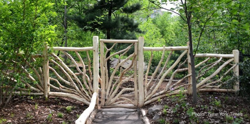Fermée au public depuis 80 ans, une petite forêt cachée dans Central Park va être à nouveau accessible aux visiteurs. D'une surface d'environ 1,6 hectare au sud-est du parc, le «Hallett Nature Sanctuary» était depuis 1934 un sanctuaire dédié aux oiseaux. L'espace est laissé à l'état sauvage jusqu'en 2001, pour ne pas dire à l'abandon, lorsque le conservatoire du parc décide de le restaurer.
