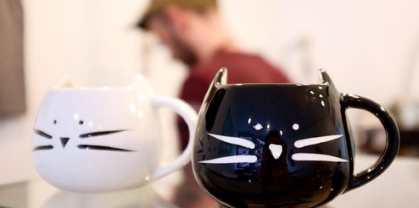 Emilie est propriétaire du premier cat café à New York, le Meow Parlour, un espace original pour câliner des chats tout en buvant un petit café. Elle est arrivée à New York en 2012 avec son mari, a fait un saut par San Francisco et vit aujourd'hui à Greenwich Village. 