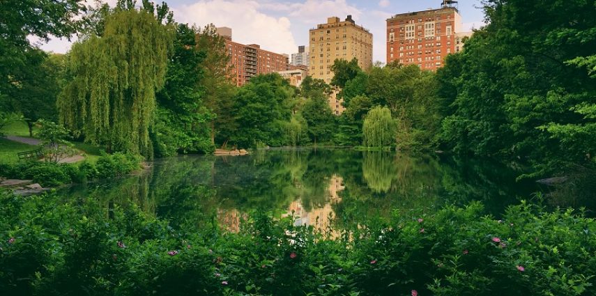 Que nous réserve New York pour le mois de mai 2019 ? Voici nos suggestions d'activités, expositions et événements à ne pas manquer ce mois-ci. 
