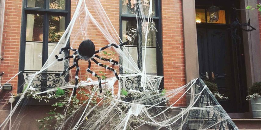 Les Américains raffolent d'Halloween et en sont les pros. Pas étonnant donc de trouver de nombreuses choses à faire pendant presque un mois!