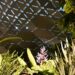 Photo : Lowline Lab